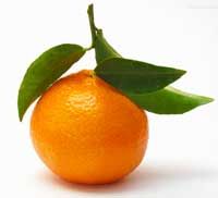 紅橘(橘子)精油  10ml