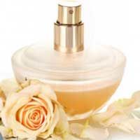 No. 5 Women's Perfume Fragrance Oil 10ml