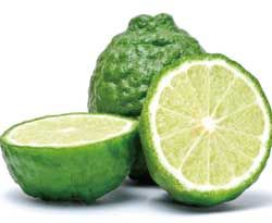 有機佛手柑精油 10ml