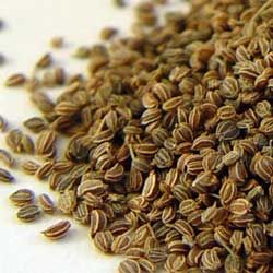 有機芹菜籽精油  10ml