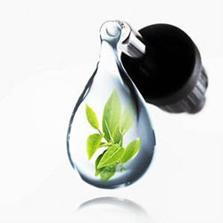 有機綠茶萃取液(澳洲) 20g