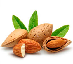 甜杏仁油 (英國)  500ml