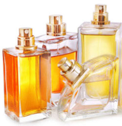 Enchanted Perfume Fragrance Oil (10ml)