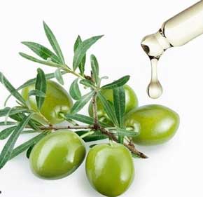 有機橄欖角鯊烷油  100ml