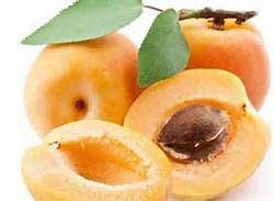 杏桃核仁油 (英國) 500ml