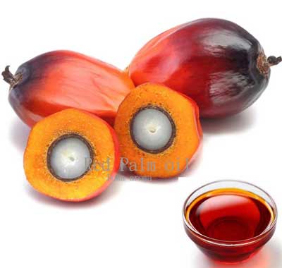 紅棕櫚油 (Red Palm Oil) 1000ml