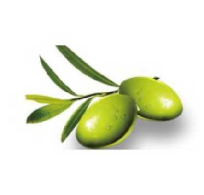 冷壓橄欖油 (精煉) 1000毫升