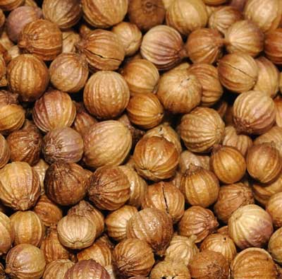 有機芫荽籽精油  10ml