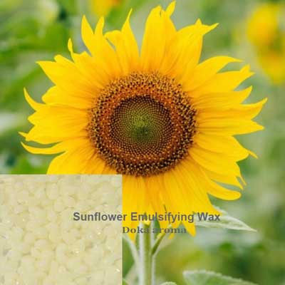 葵花籽蠟 (美國) 30g