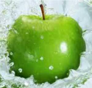 PhytoCellTec™ Malus (蘋果幹細胞) 50g