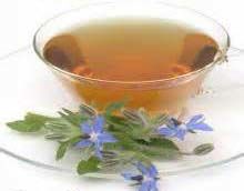 有機琉璃苣油 (精煉) 100ml