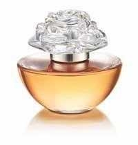 Bombs Perfume Fragrance oil 10ml