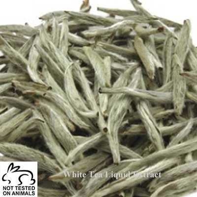 白茶萃取液 (美國) 50g