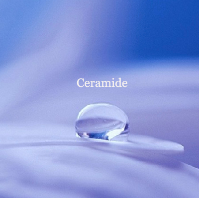 【分子酊】神經醯胺 Ceramide 10ml