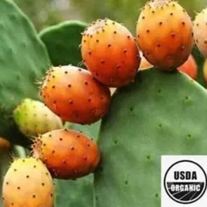 有機頂級仙人掌果籽油 (摩洛哥) 50ml