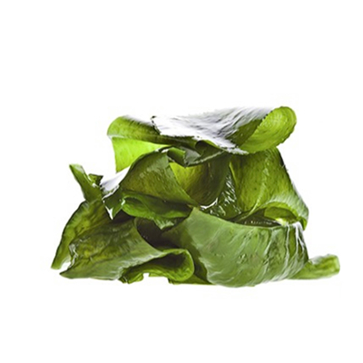 海藻素萃取液 (澳洲)100G