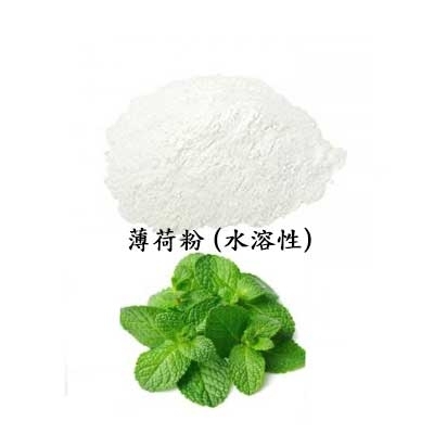 天然薄荷粉 (水溶性)  100g